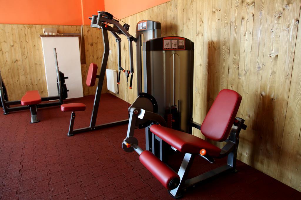 Mlyn Penzion & Wellness Radvaň nad Dunajom Exterior foto