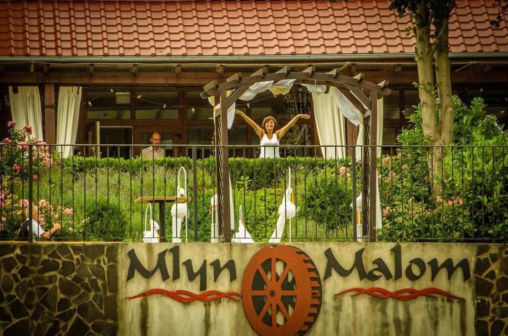 Mlyn Penzion & Wellness Radvaň nad Dunajom Exterior foto