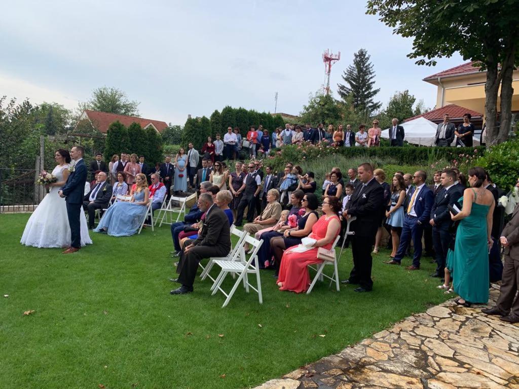 Mlyn Penzion & Wellness Radvaň nad Dunajom Exterior foto